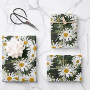 White Oxeye Daisy Meadow Geschenkpapier Set