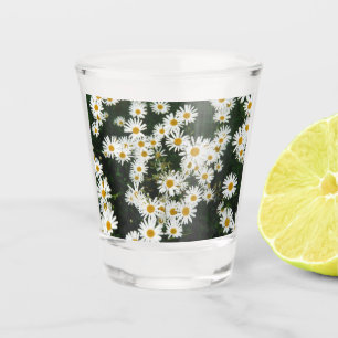White Oxeye Daisy, Moon Daisy Meadow Schnapsglas