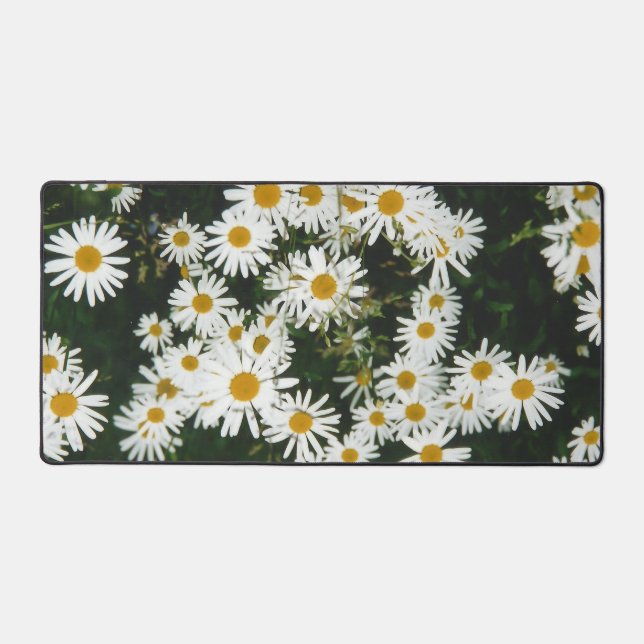 White Oxeye Daisy, Moon Daisy Meadow Schreibtischunterlage (Vorderseite)