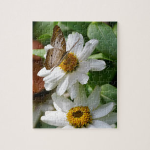 White Peacock Butterfly