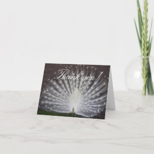 White Peacock Dankeskarte