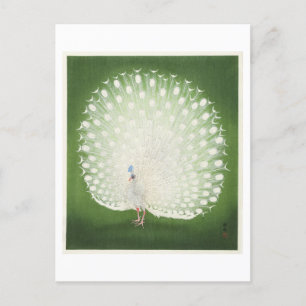 White Peacock Illustration von Ohara Koson Postkarte