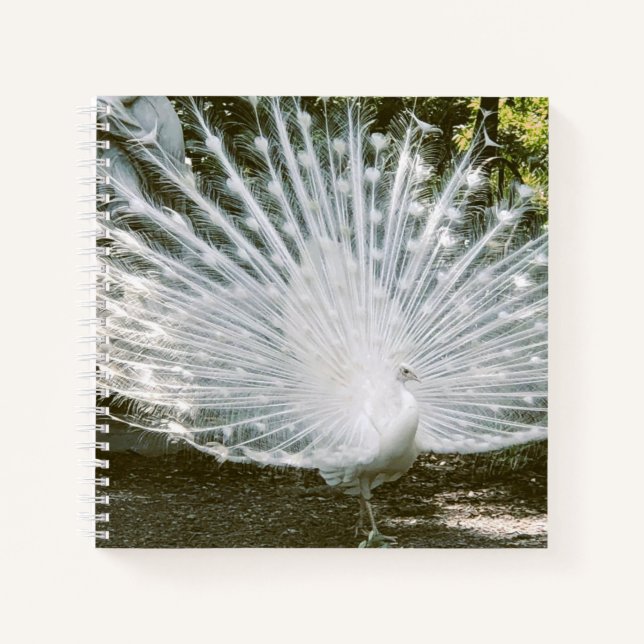 White Peacock Note Book Notizbuch (Vorderseite)