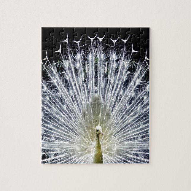 White Peacock Pavo Animalia (Vertikal)