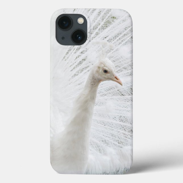 White Peacock schöne Federn Case-Mate iPhone Hülle (Rückseite)