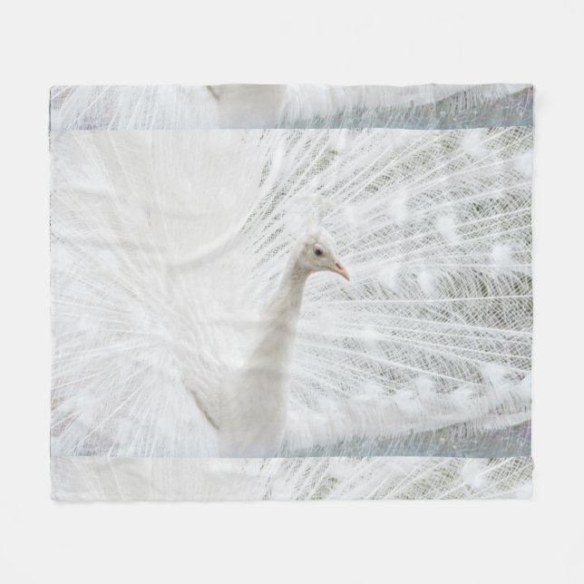 White Peacock schöne Federn Fleecedecke (Vorderseite (Horizontal))