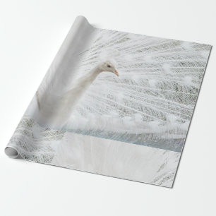 White Peacock schöne Federn Geschenkpapier