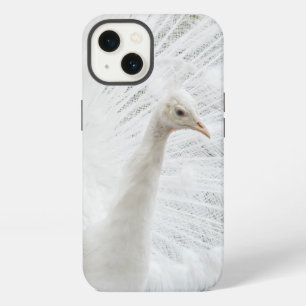 White Peacock schöne Federn iPhone Hülle