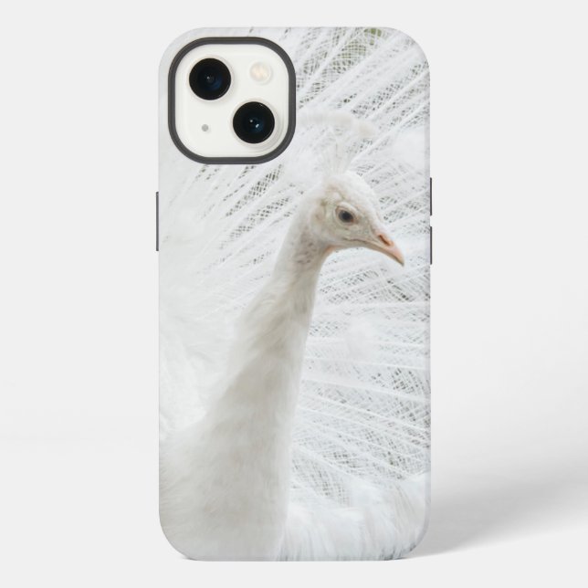 White Peacock schöne Federn iPhone Hülle (Rückseite)