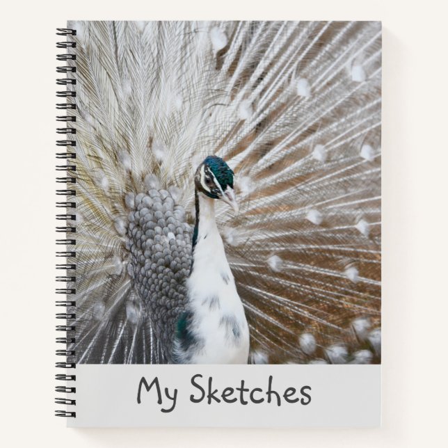 White Peacock Sketchbook Notizbuch (Vorderseite)