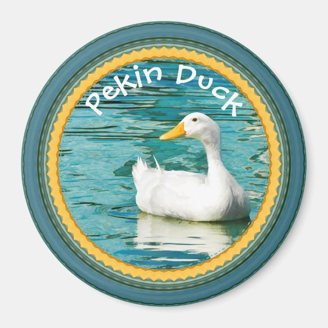 White Pekin Duck - Naturfotografie Städtischer See Magnet (Vorne)
