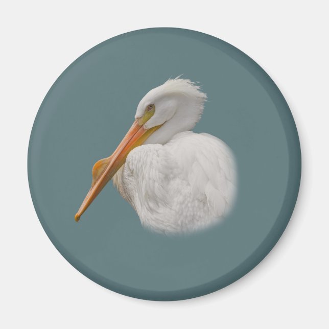 White Pelican Magnet (Vorne)