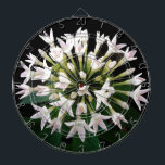 White Pentas Dartscheibe<br><div class="desc">White Pentas Bloom</div>