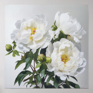 White Peonies Flower Art Imprimer Poster