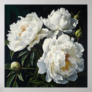 White Peonies Flower Art Imprimer Poster