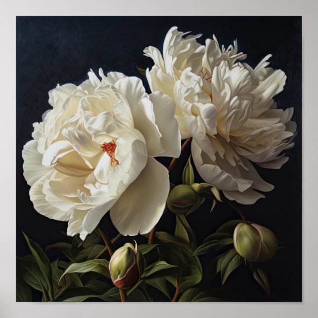 White Peonies Flower Art Imprimer Poster (Devant)
