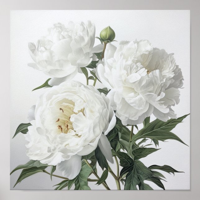 White Peonies Flower Art Imprimer Poster (Devant)