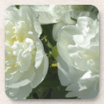 White Peonies Getränkeuntersetzer<br><div class="desc">Romantic elegant graceful classic vintage white peonies- floral photo by H Cooper</div>