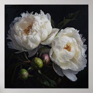 White Peony Blume Art Print Poster
