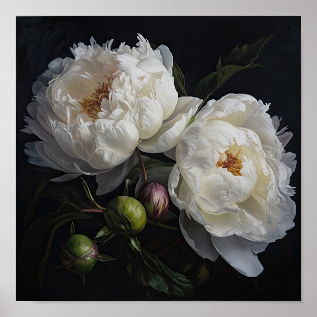 White Peony Blume Art Print Poster (Vorne)