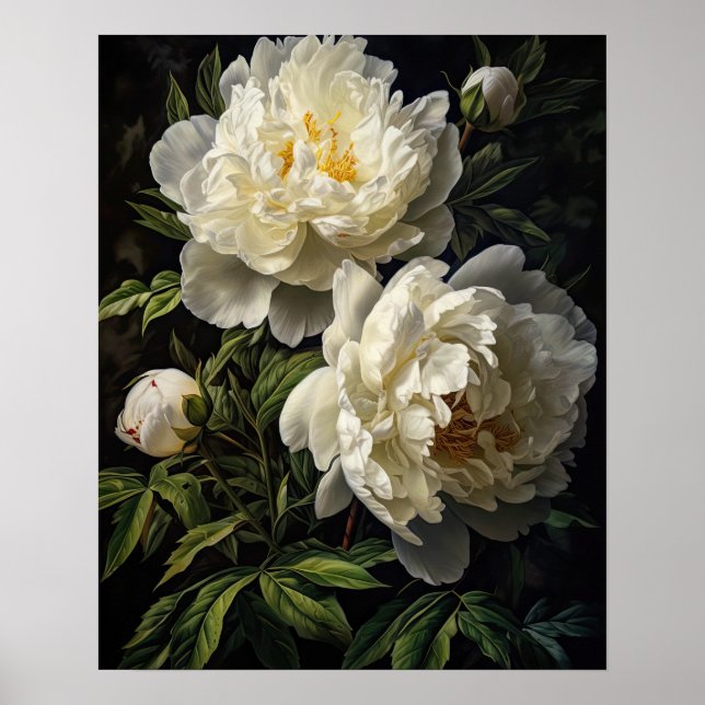 White Peony Blume Art Print Poster (Vorne)