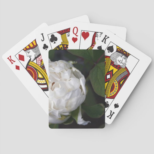 White Peony - Blumenfotografie - Spielkarten (Rückseite)