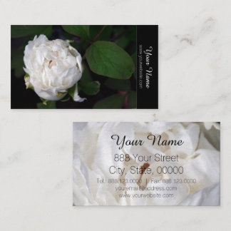 White Peony Floral Cartes de visite de photographi