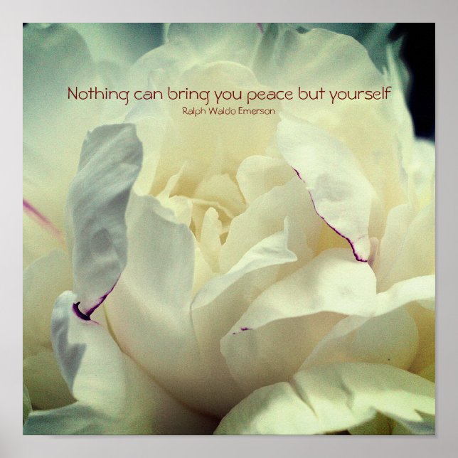 White Peony Inner Peace Inspiration Poster (Vorne)