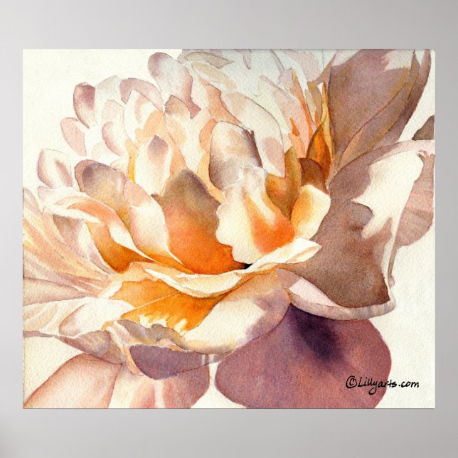 White Peony Watercolor Poster drucken (Vorne)