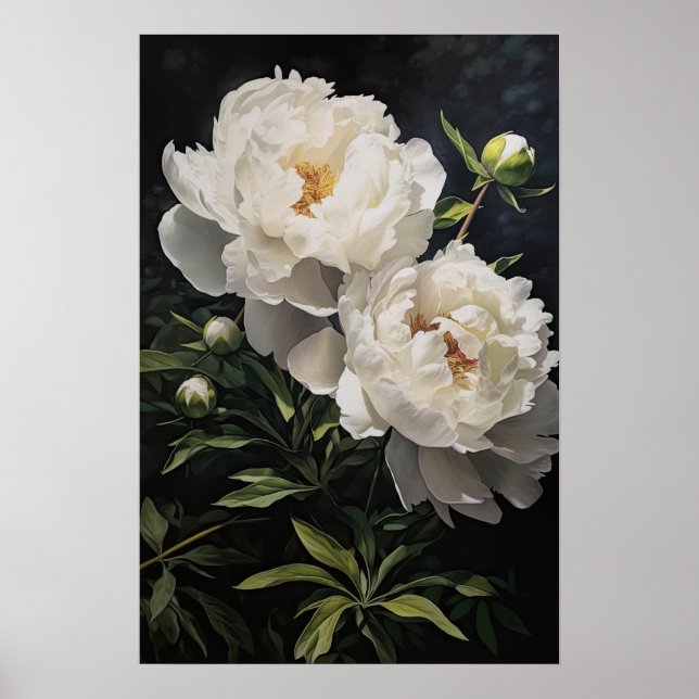 White Peonys Blume Art Print Poster (Vorne)