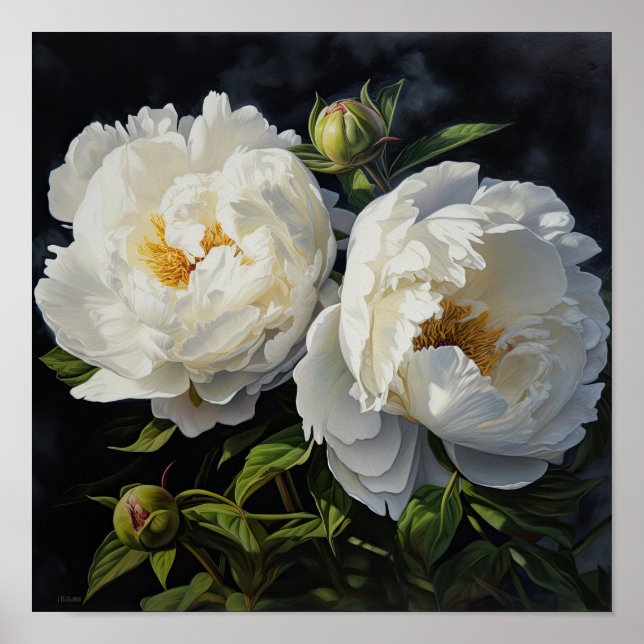 White Peonys Blume Art Print Poster (Vorne)
