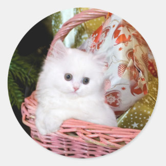 White Persian Kitten Runder Aufkleber