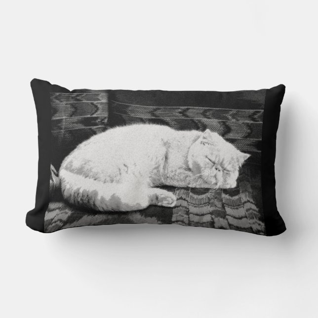 White Persian Sleeping Cat Lendenkissen (Vorderseite)
