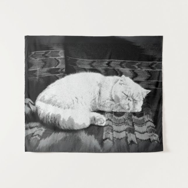 White Persian Sleeping Cat Wandteppich (Vorderseite (Horizontal))