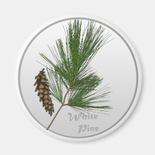White Pine-Baum Magnet