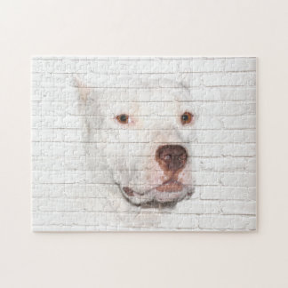 White Pitbull Terrier