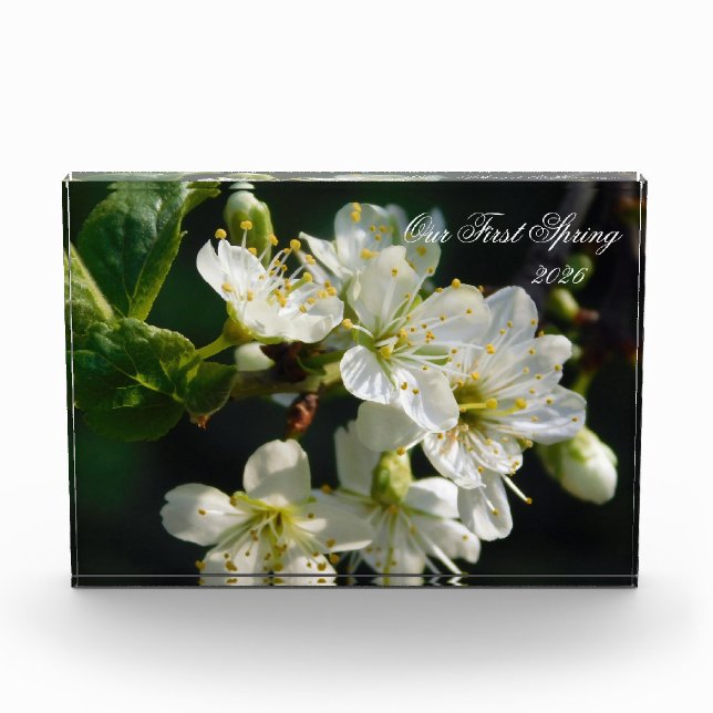 White Plum Blossom Macro | Personalized Photo Bloc Fotoblock (Vorderseite)
