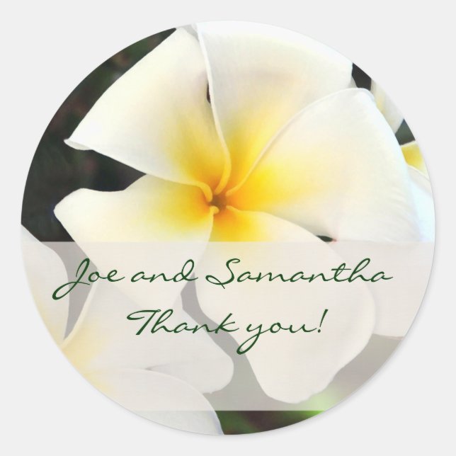 White Plumeria Blumen Dankeschön Aufkleber (Vorderseite)
