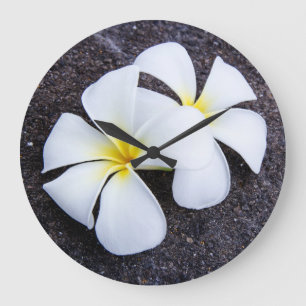 White Plumeria Flower Frangipani Floral Lava Rock Große Wanduhr