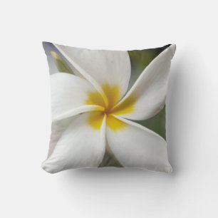 White Plumeria - Makroportrait Kissen