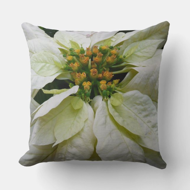 White Poinsettia Elegante Weihnachtsfeiertage Kissen (Vorderseite)