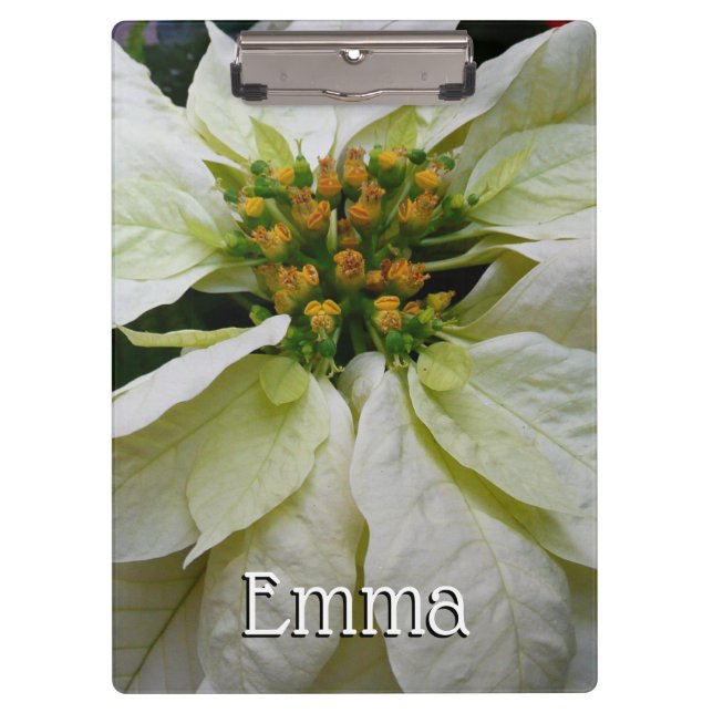 White Poinsettia Elegante Weihnachtsfeiertage Klemmbrett (Vorderseite)