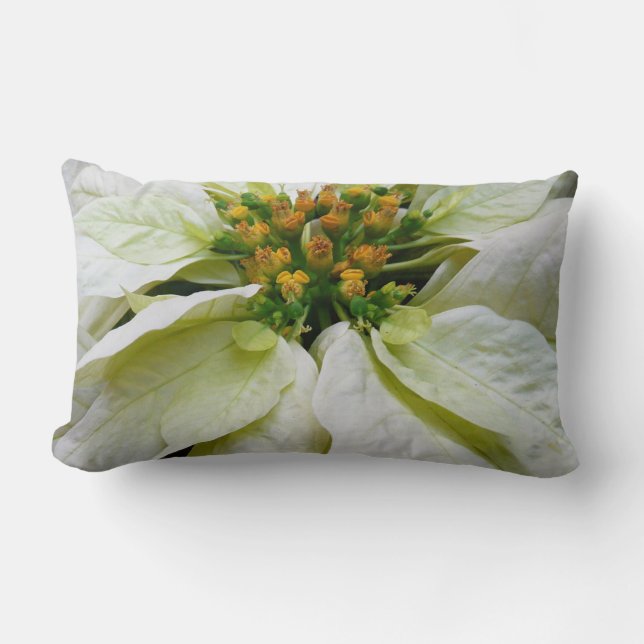 White Poinsettia Elegante Weihnachtsfeiertage Lendenkissen (Vorderseite)