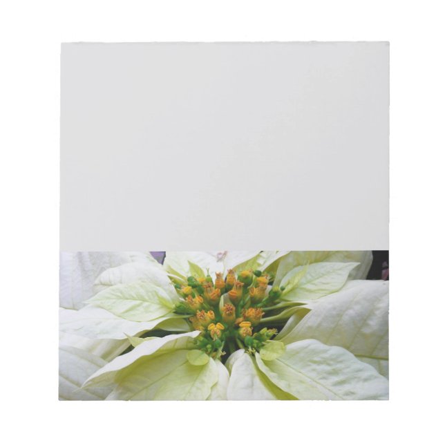 White Poinsettia Elegante Weihnachtsfeiertage Notizblock (Vorderseite)