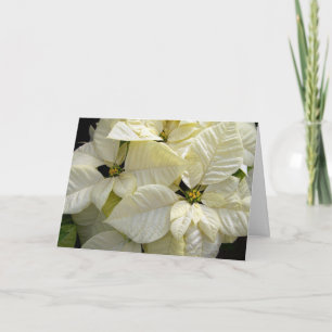 White Poinsettias Feiertagskarte