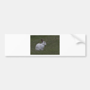 White Point Bunny Autoaufkleber