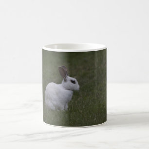 White Point Bunny Kaffeetasse