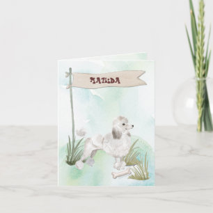 White Poodle Herzlichen Glückwunsch zum neuen Hund