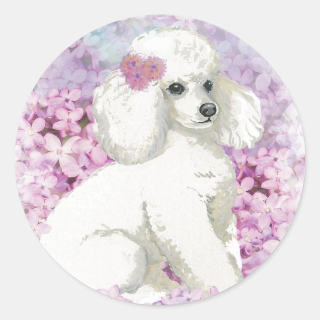 White Poodle im Lilacs Kunst und Geschenke Runder Aufkleber (Vorderseite)