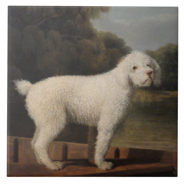 White Poodle in a Punt (von George Stubbs) Fliese (Vorderseite)